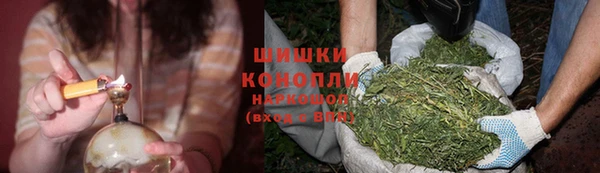 гидра Белоозёрский