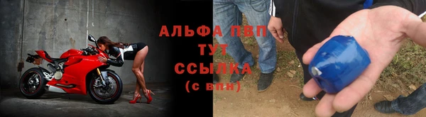 гидра Белоозёрский