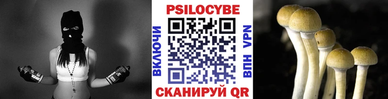 Купить где Апшеронск Псилоцибиновые грибы Magic Shrooms